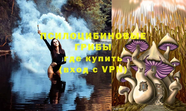 метадон Карпинск