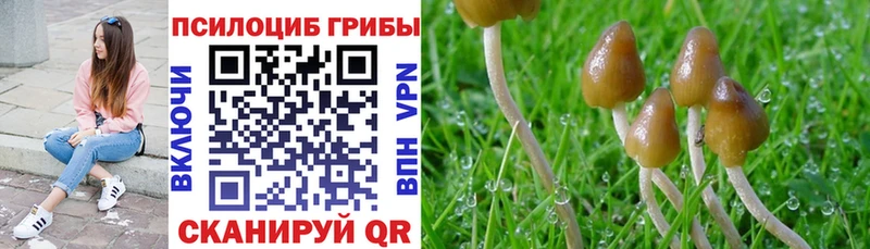 Псилоцибиновые грибы Magic Shrooms  Купить  Эртиль 
